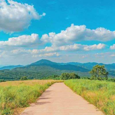 威尼斯欢乐娱人棋牌app下载