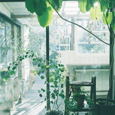 开元娱乐游戏官版正版下载