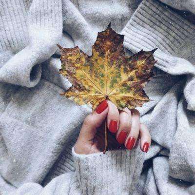 星空下载app下载