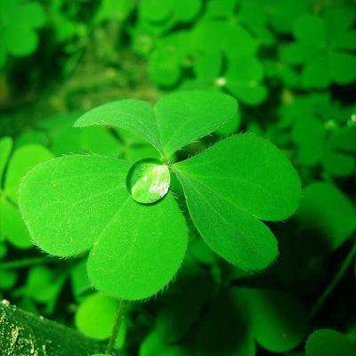 玩球直播下载ios截图