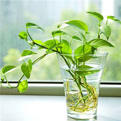 澳门mgm娱乐官网手机app下载